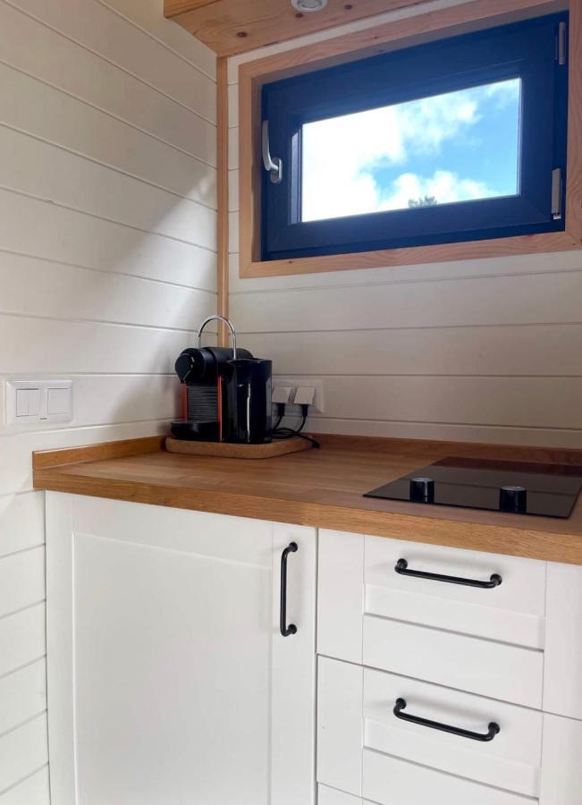 הוילה Vijfhuizen Tiny House With Garden And Jacuzzi Near Amsterdam מראה חיצוני תמונה