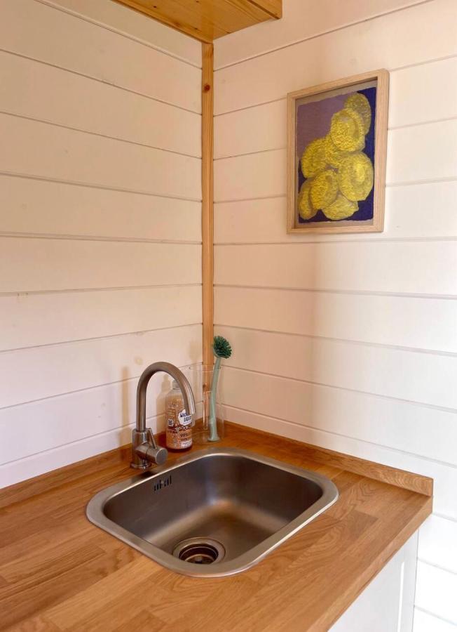 הוילה Vijfhuizen Tiny House With Garden And Jacuzzi Near Amsterdam מראה חיצוני תמונה