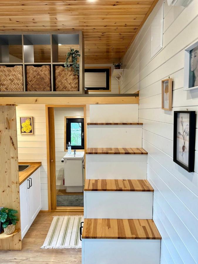 הוילה Vijfhuizen Tiny House With Garden And Jacuzzi Near Amsterdam מראה חיצוני תמונה