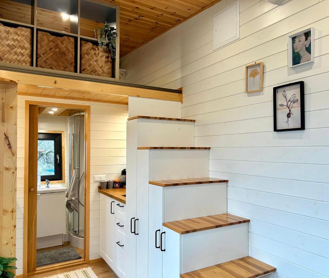 הוילה Vijfhuizen Tiny House With Garden And Jacuzzi Near Amsterdam מראה חיצוני תמונה